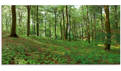 Glasbild »Panorama von einem grünen Sommerwald«, Wald, (1 St.)
