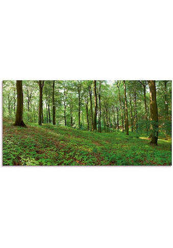 Glasbild »Panorama von einem grünen Sommerwald«, Wald, (1 St.)