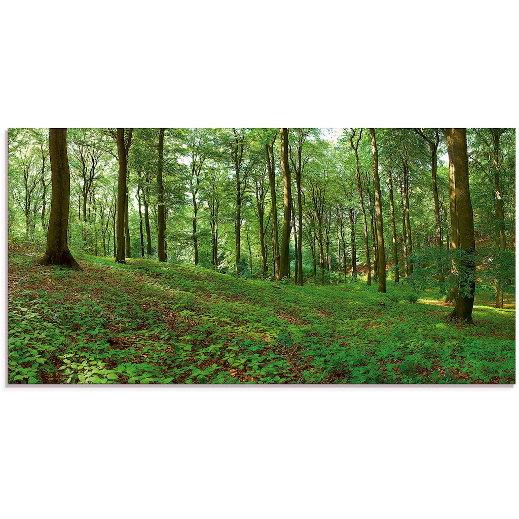 Artland Glasbild »Panorama von einem grünen Sommerwald«, Wald, (1 St.)