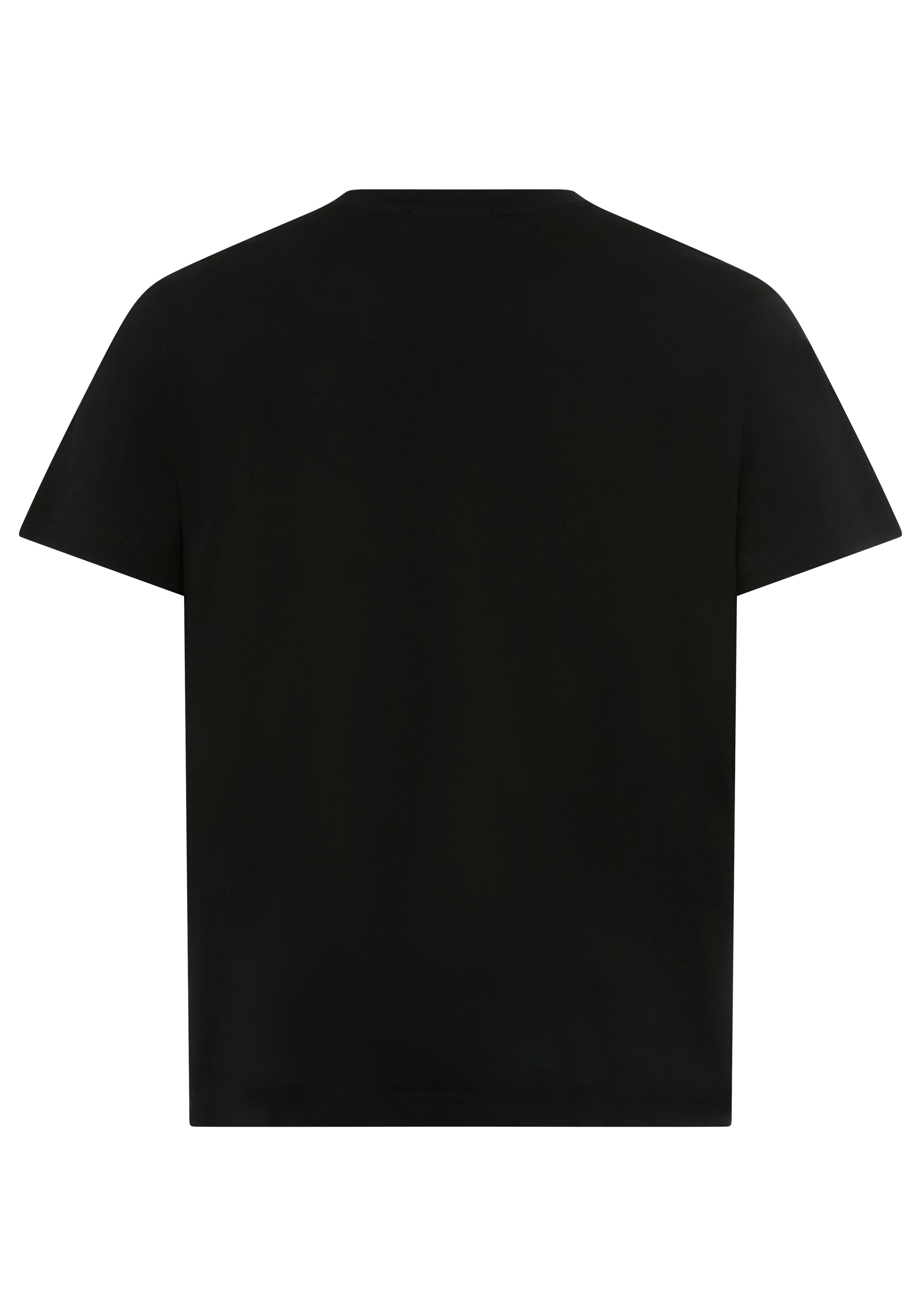 Replay T-Shirt mit Print, Rundhalsausschnitt