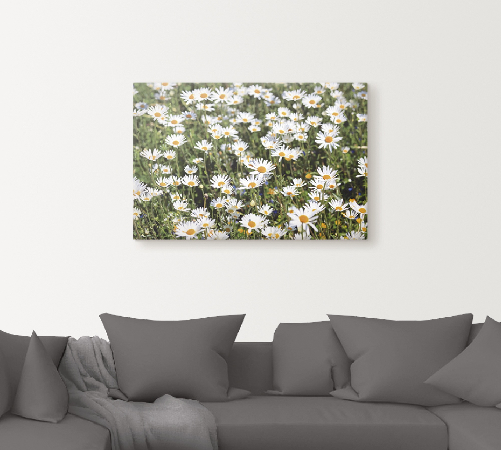 Artland Wandbild "Gänseblümchen", Blumen, (1 St.), als Alubild, Outdoorbild günstig online kaufen