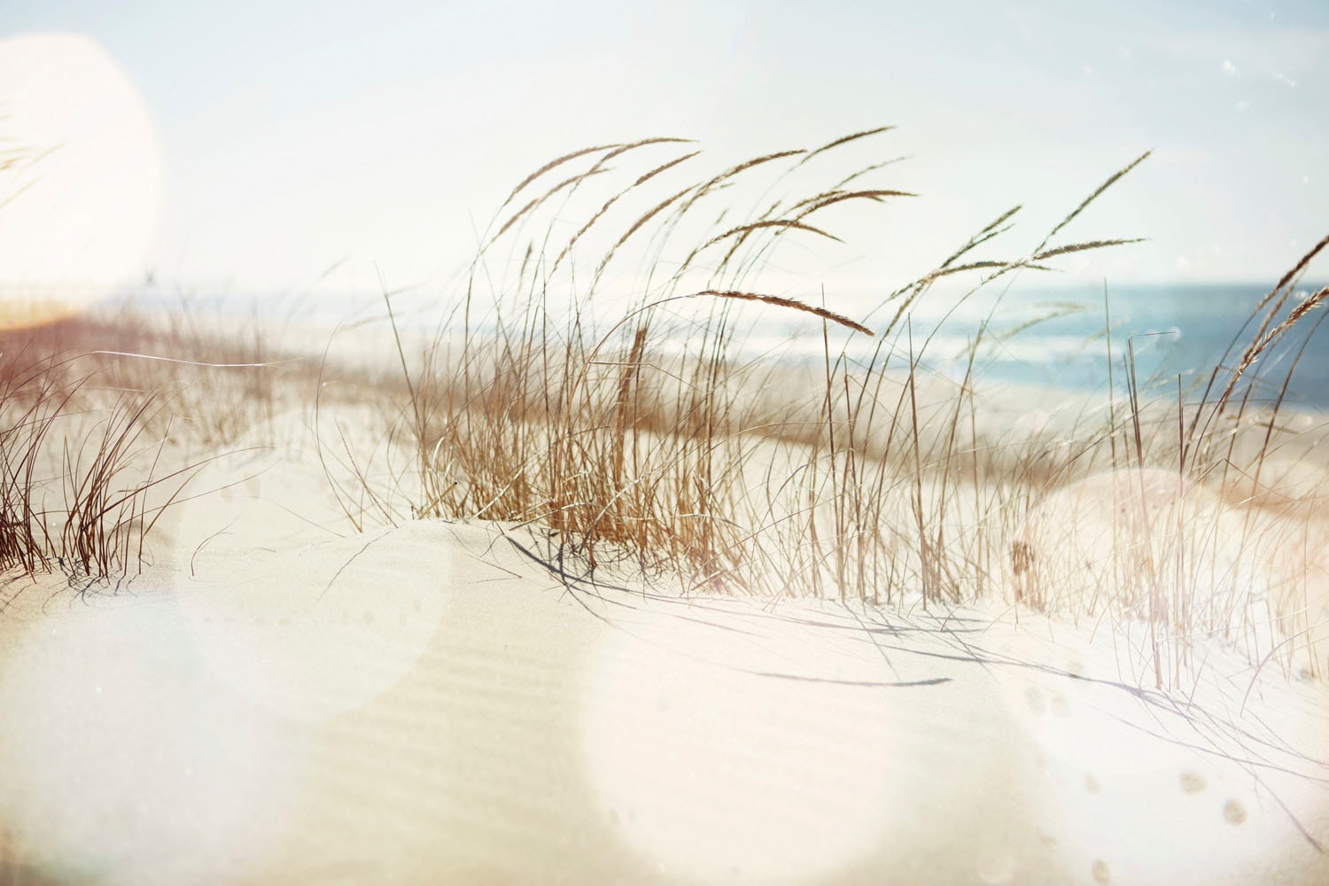 queence Acrylglasbild »Estan«, Strand-Himmel-Düne-Deutschland-Gräser-Meer-Meer Bilder-Spa-Steg, (1 St.), Fine Art-Print in Galeriequalität