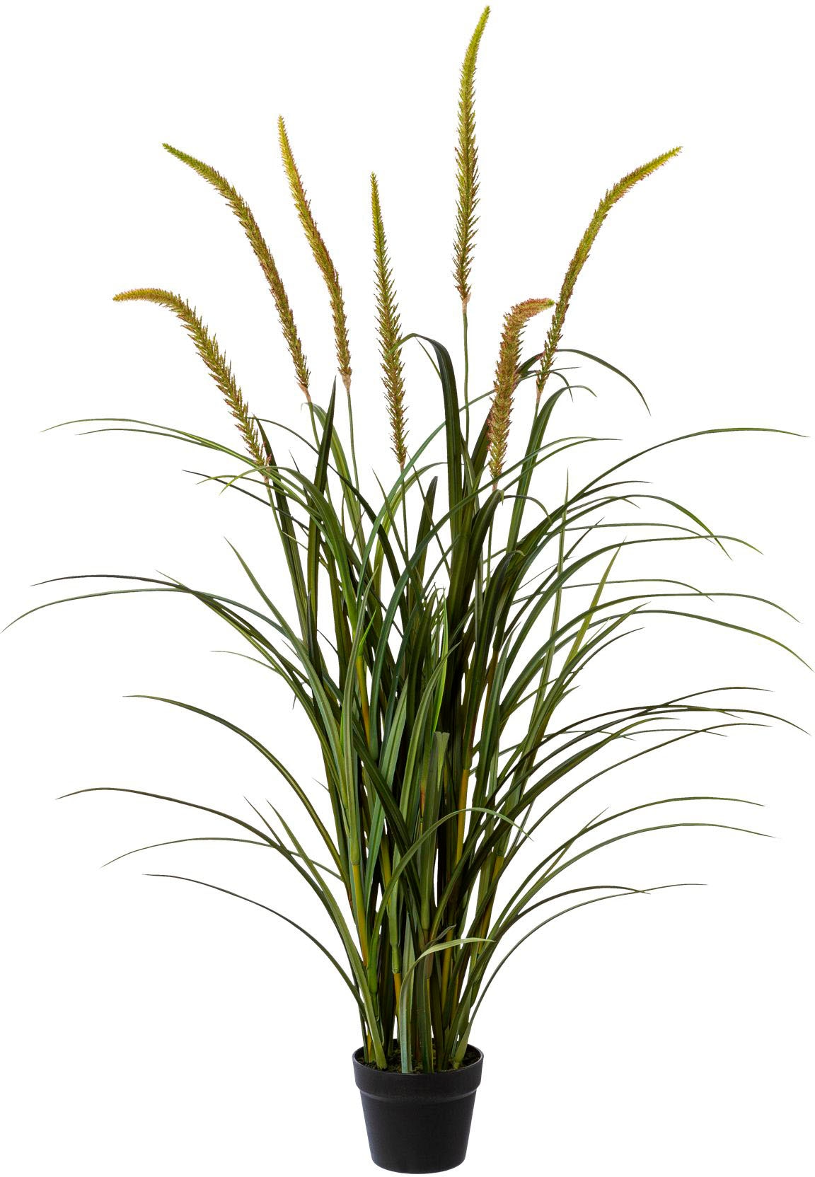 Creativ green Kunstgras »Grasbusch Miscanthus im Topf«