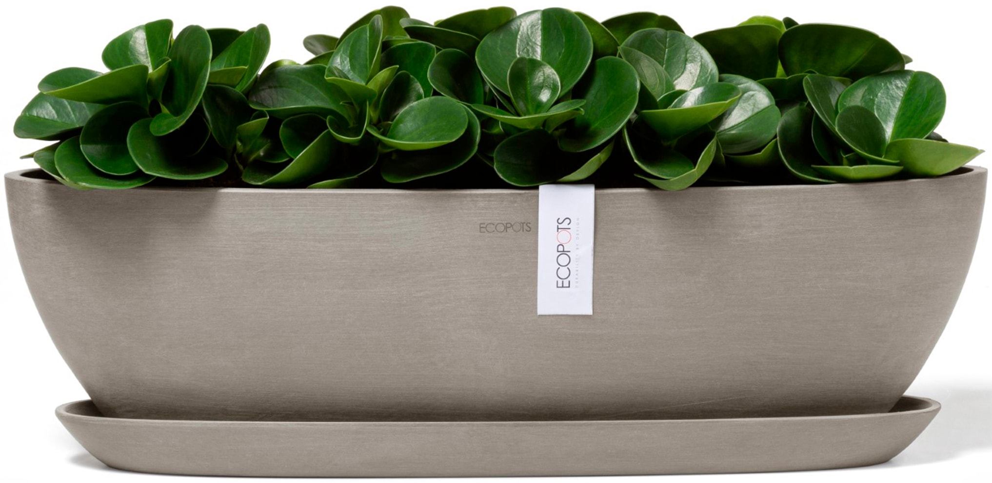 ECOPOTS Blumentopf »Sofia lang 56 Taupe«, für innen und außen: frostsicher, bruchsicher und lichtbeständig