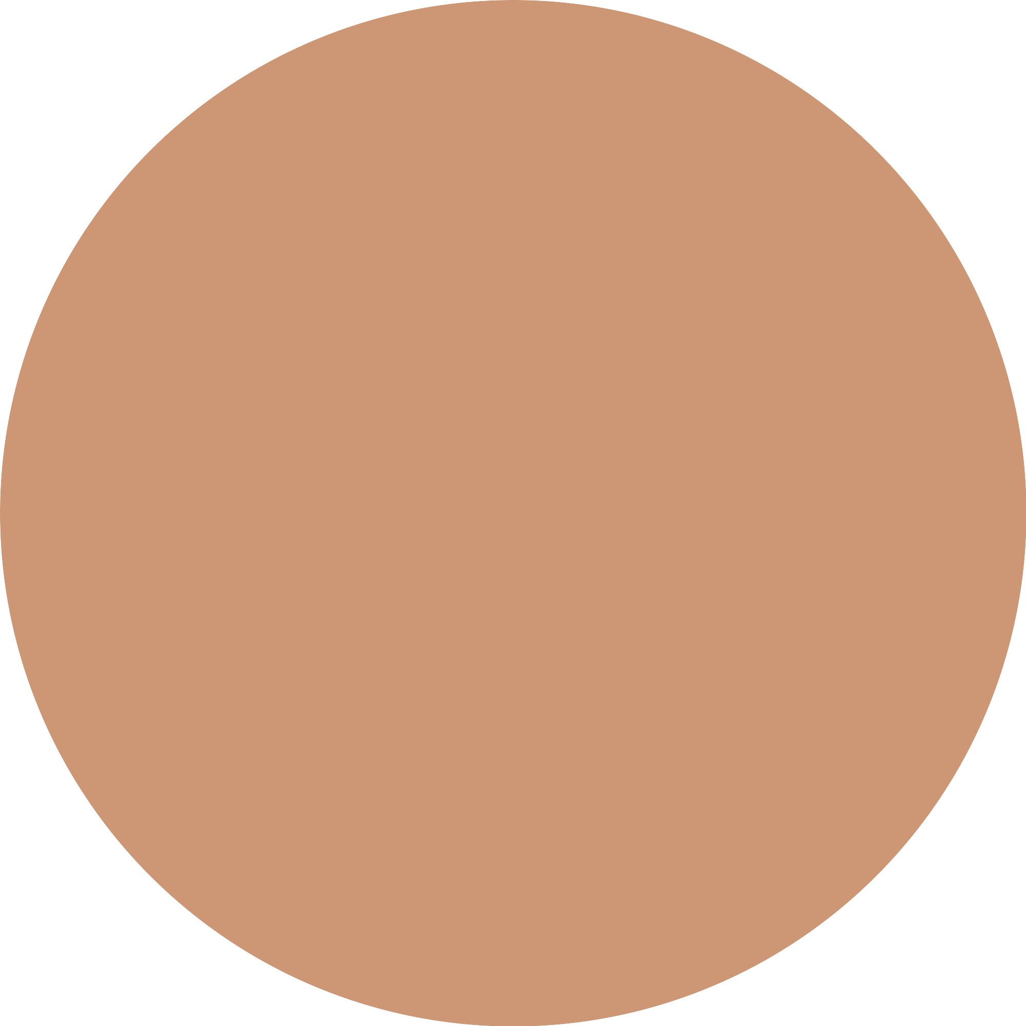 Catrice Foundation »Skin Like Tinted Moisturizer«