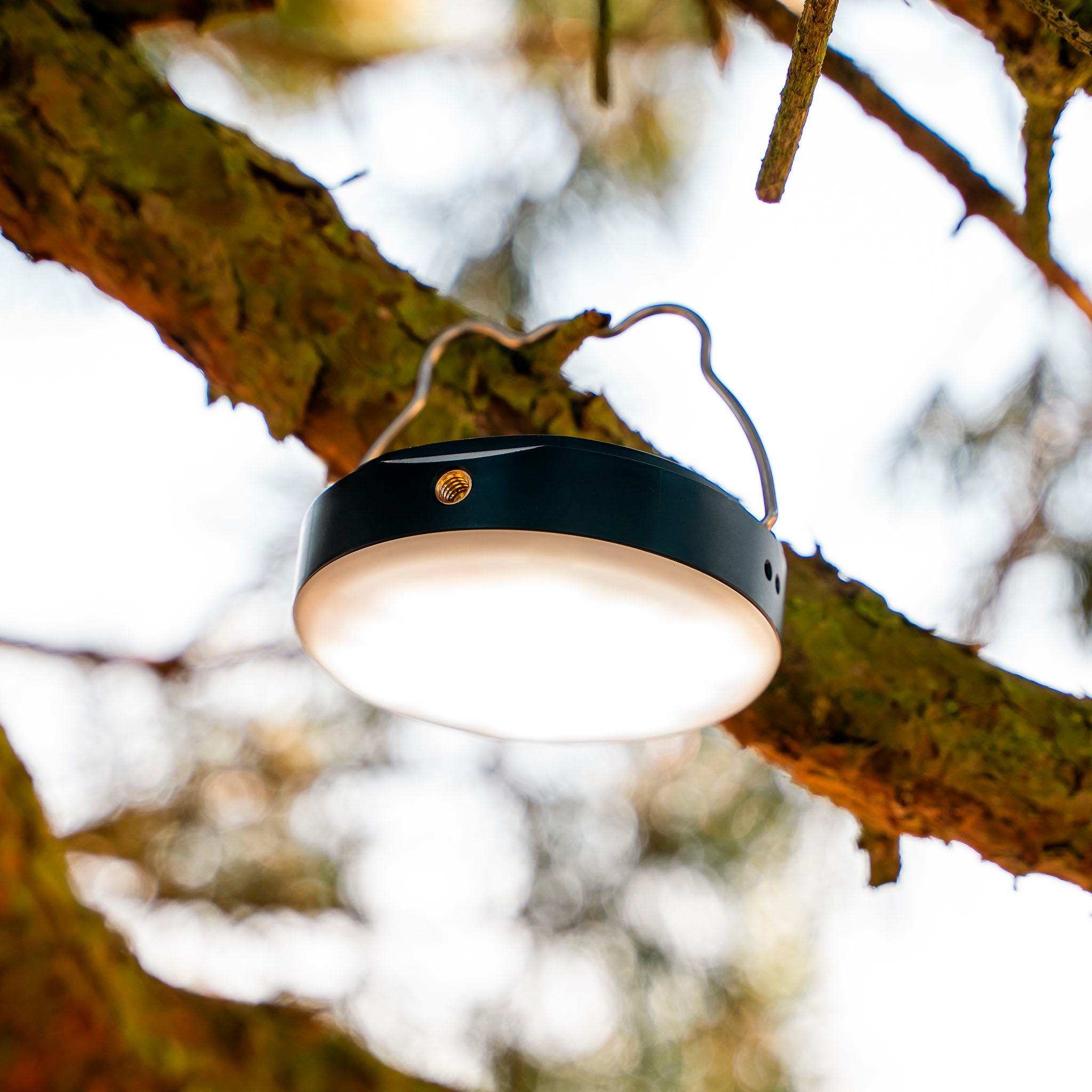 Aqiila Strahler »Powerbird BL10«