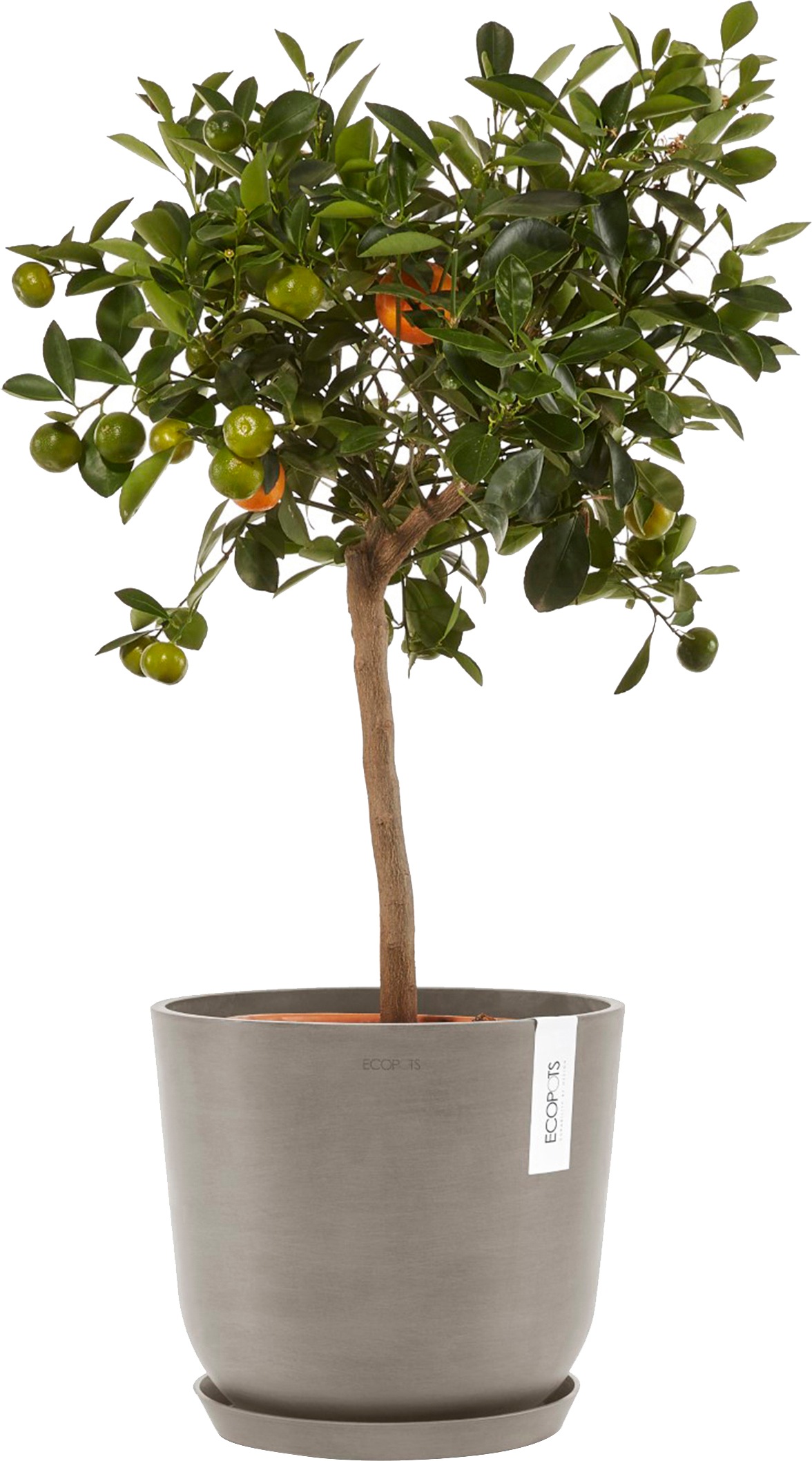 ECOPOTS Blumentopf »Oslo 25 Taupe«, für innen und außen: frostsicher, bruchsicher und lichtbeständig
