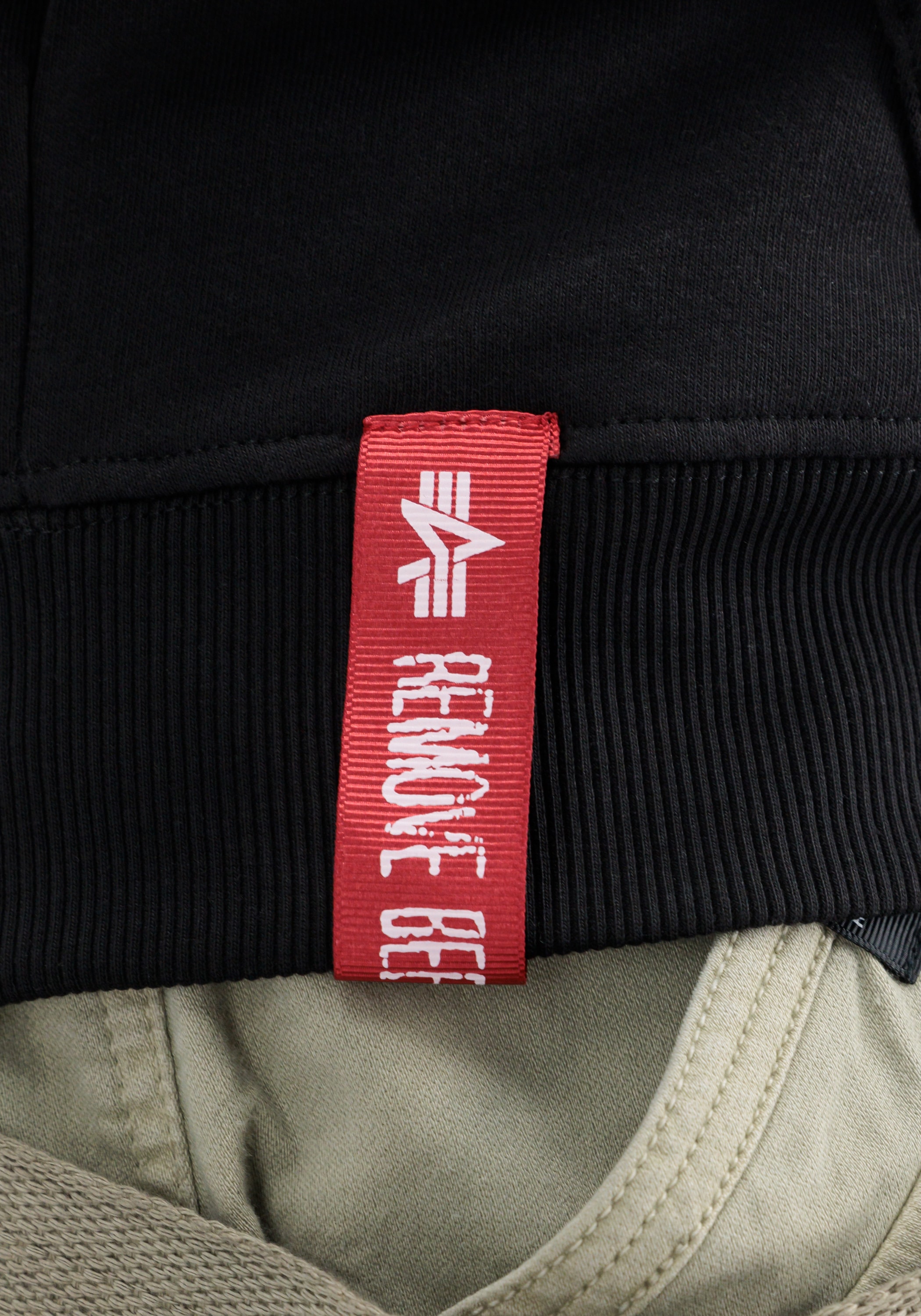 Alpha Industries Hoodie »Alpha Industries Men - Hoodies Basic Hoodie Rainbow Refl. Print«