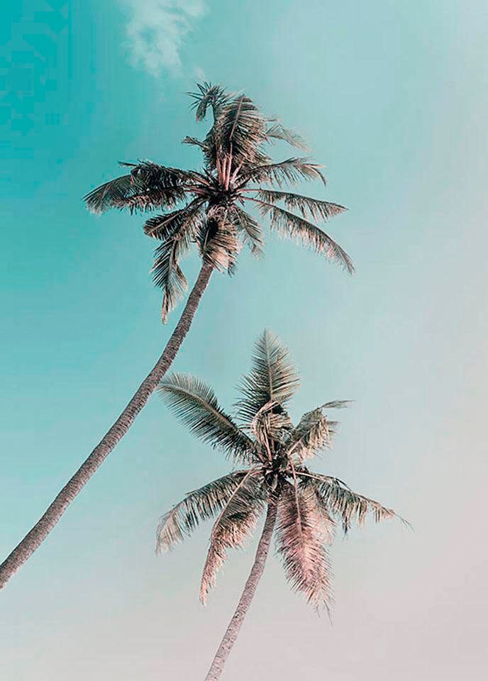 Komar Bild »Miami Palms« Blätter | Pflanzen 1 Stk. tlg. Wandbild zur Dekoration - ohne Rahmen