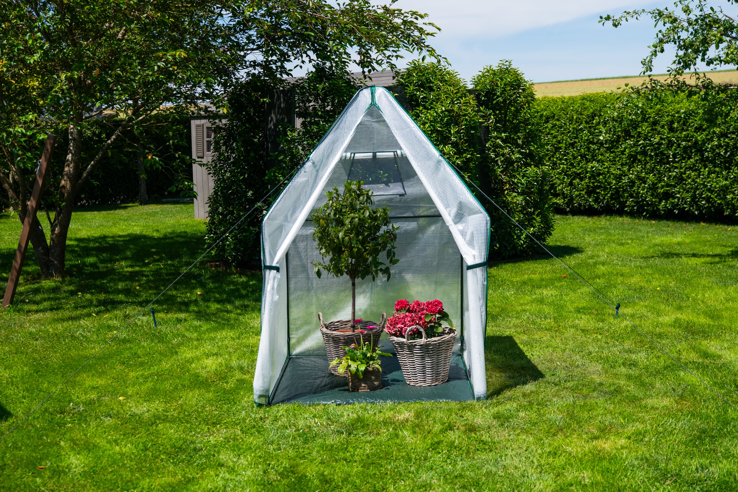 WESTMANN Foliengewächshaus »Chili« Überwinterungszelt