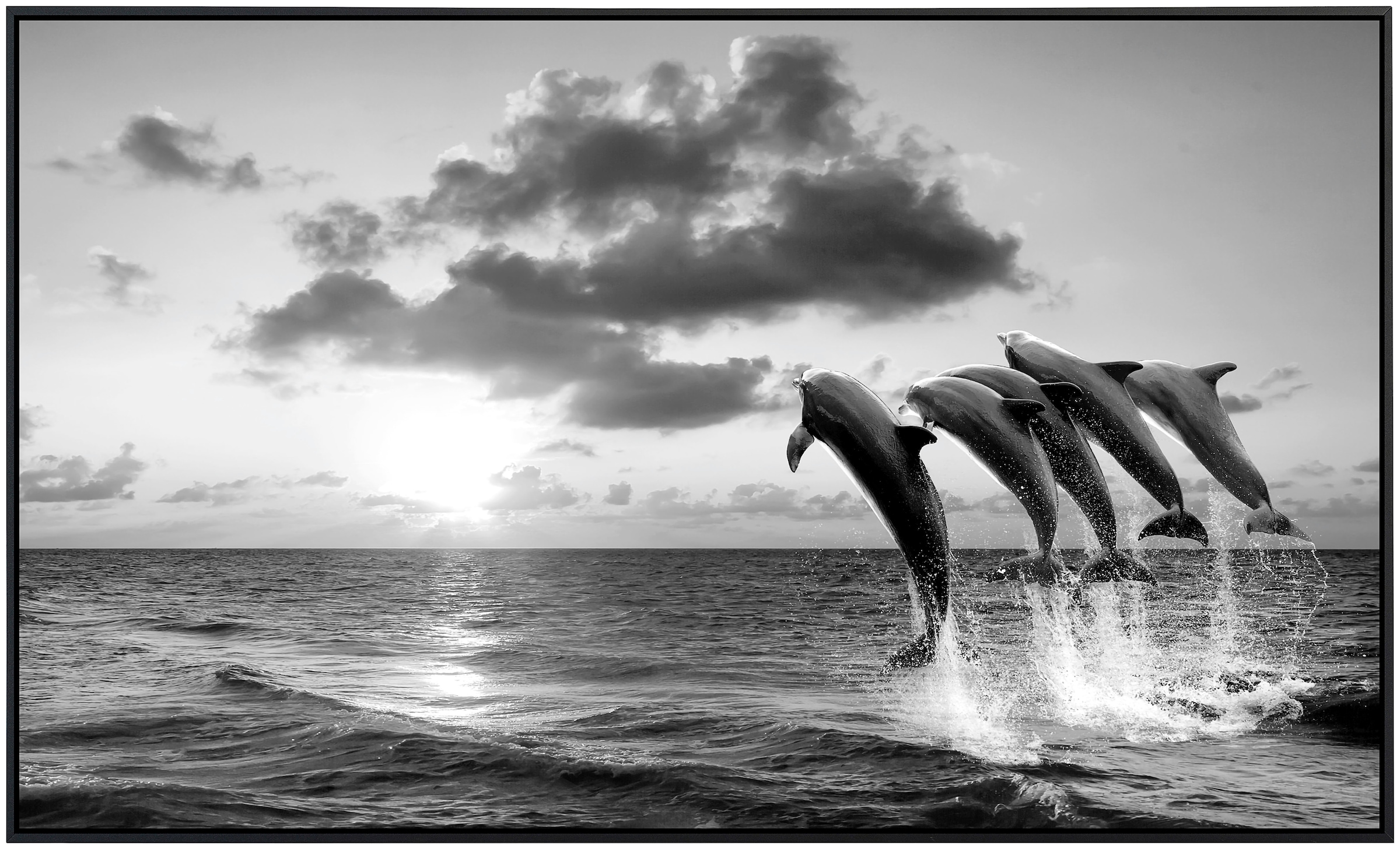 Papermoon Infrarotheizung »Delfine Schwarz & Weiß«, sehr angenehme Strahlungswärme