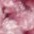 FARD