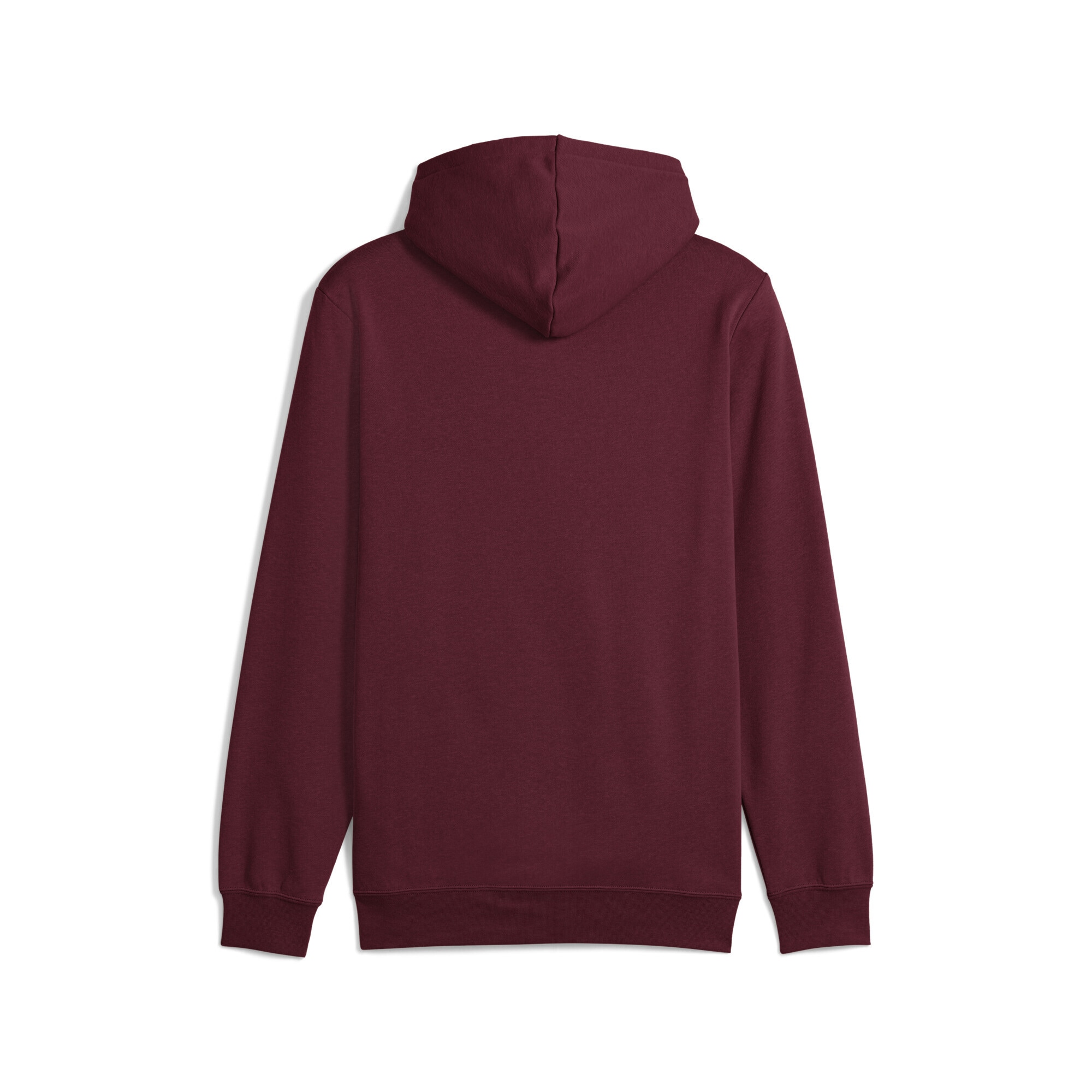 PUMA Hoodie »Essentials Small No. 1 Logo Hoodie Herren«