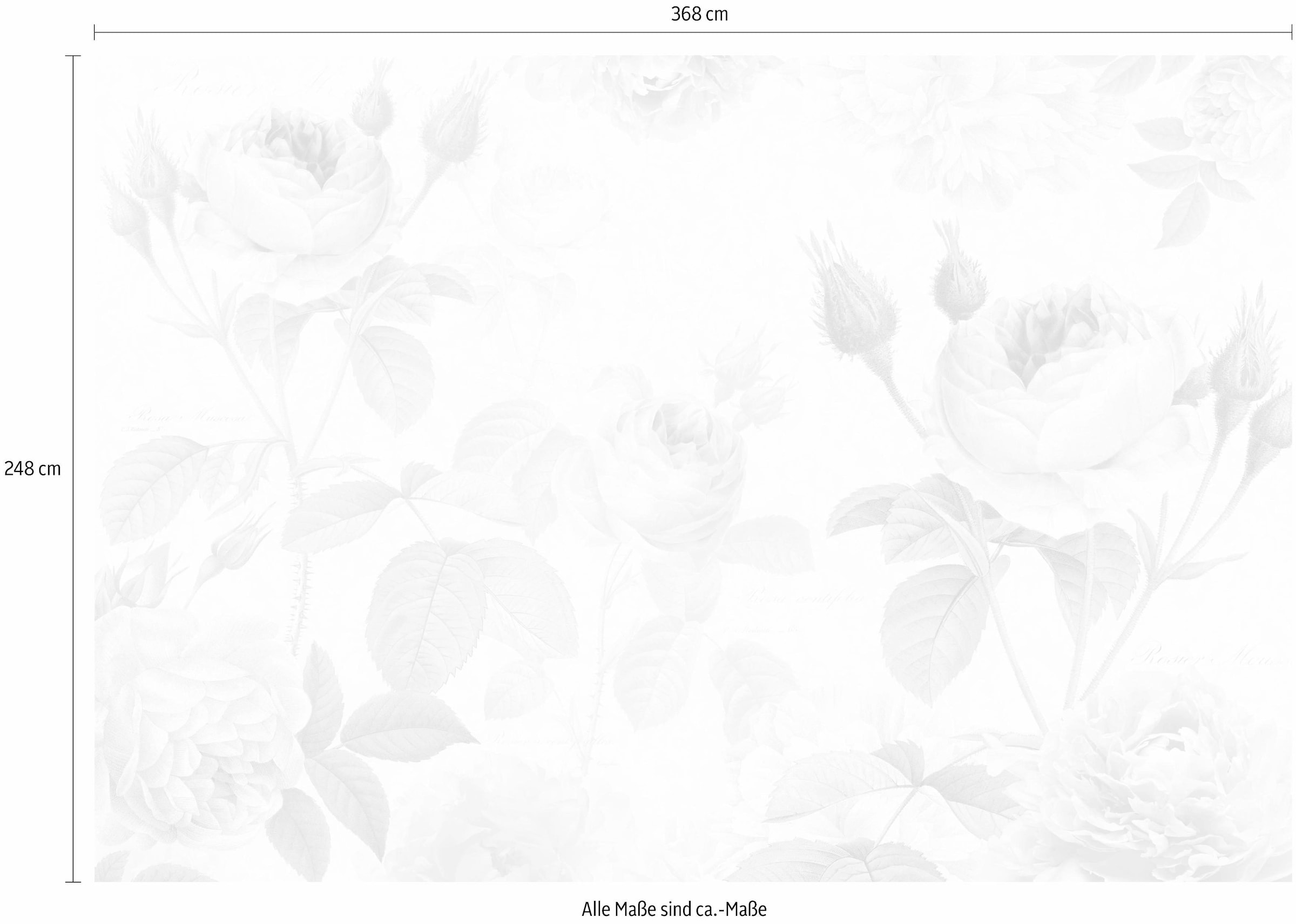 Komar Vliestapete »Vlies - La Maison - Größe 368 x 248 cm«, bedruckt, Wohnzimmer, Schlafzimmer