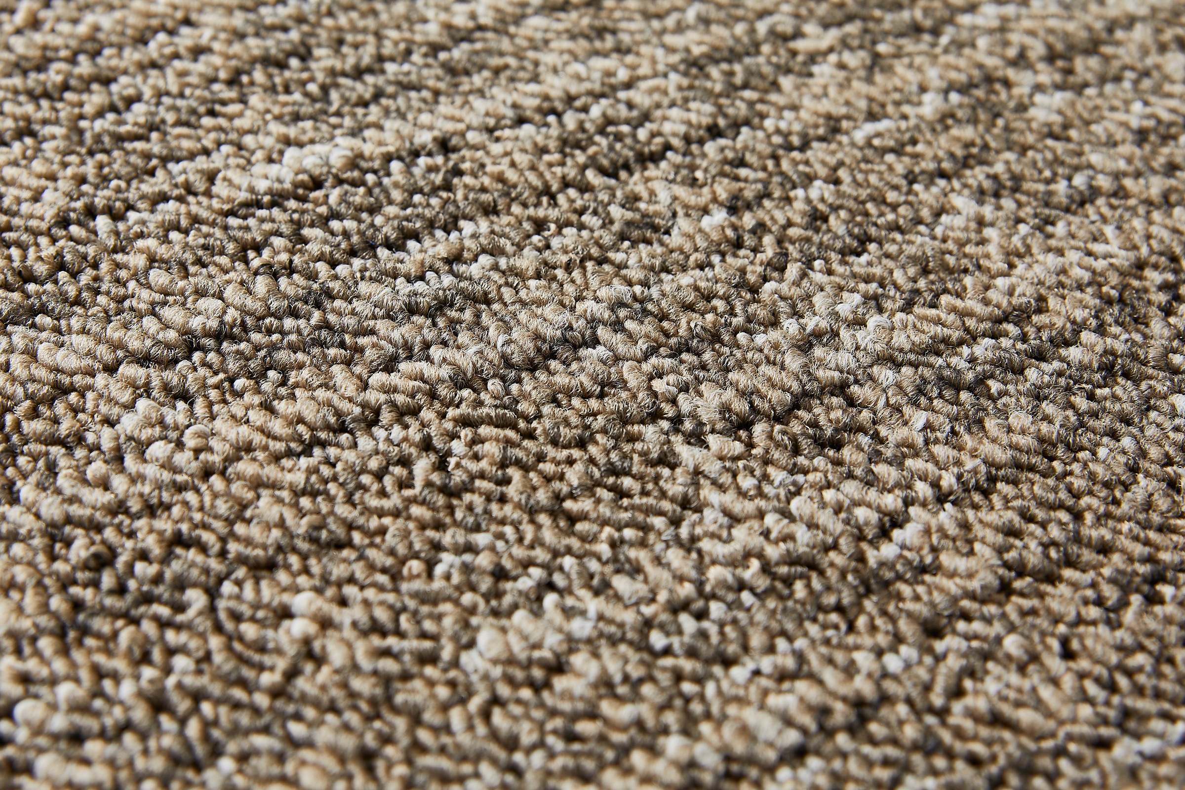 my home Teppichboden »Jamie, melierte Schlinge, Made in Netherlands«, rechteckig, 6 mm Höhe, Breite 400 cm, strapazierfähig, pflegeleicht, allergikerfreundlich