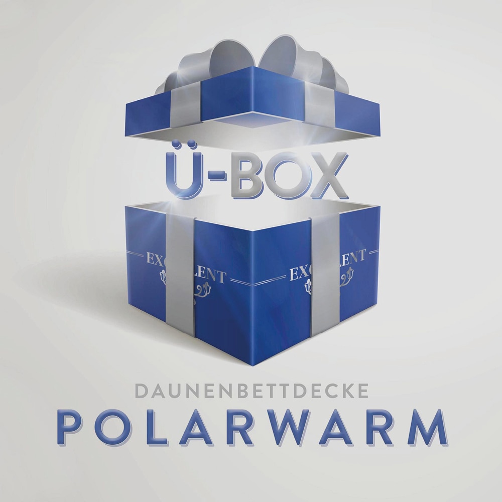 Excellent Daunenbettdecke "Überraschungsbox" polarwarm Füllung 90Daunen10Fe günstig online kaufen