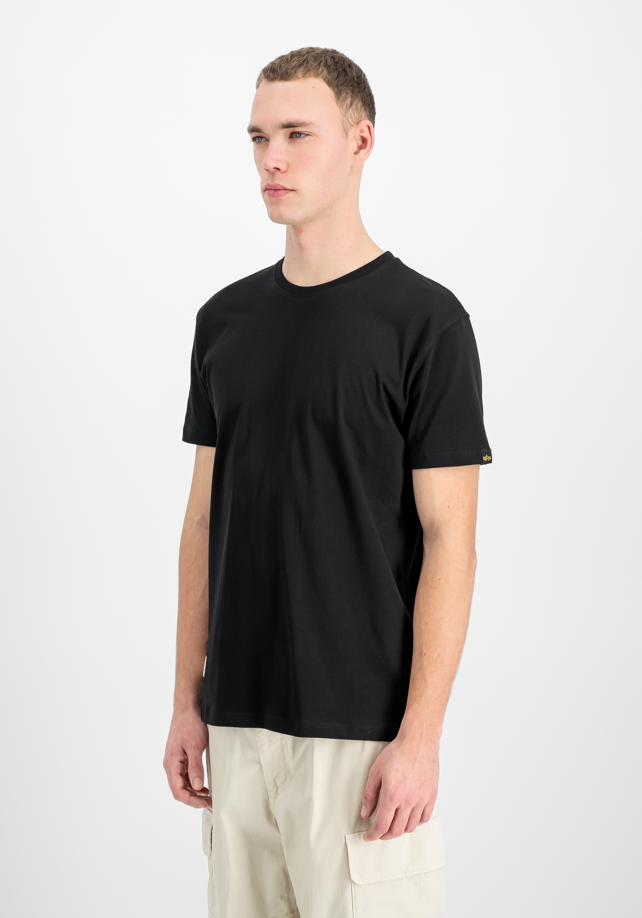 Alpha Industries T-Shirt "Camo Label Backprint T-Shirt" günstig online kaufen