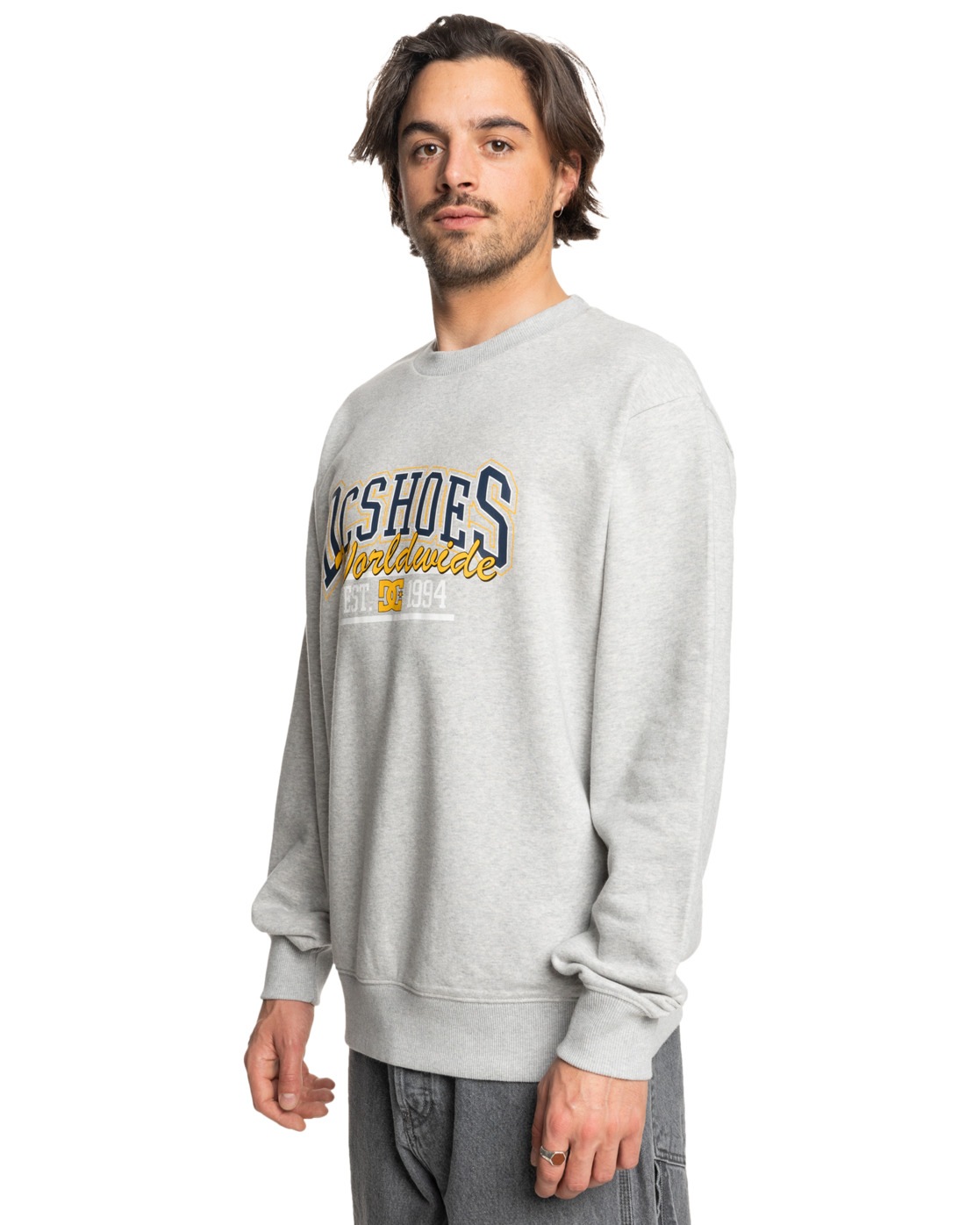 DC Shoes Sweatshirt »Tailgate«