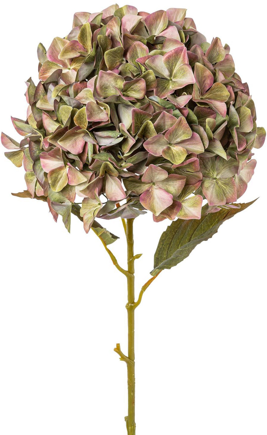 Creativ green Kunstblume »Hortensie«