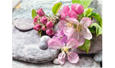 Wandbild »Apfelblüten«, Blumen, (1 St.), als Leinwandbild, Poster, Wandaufkleber in...
