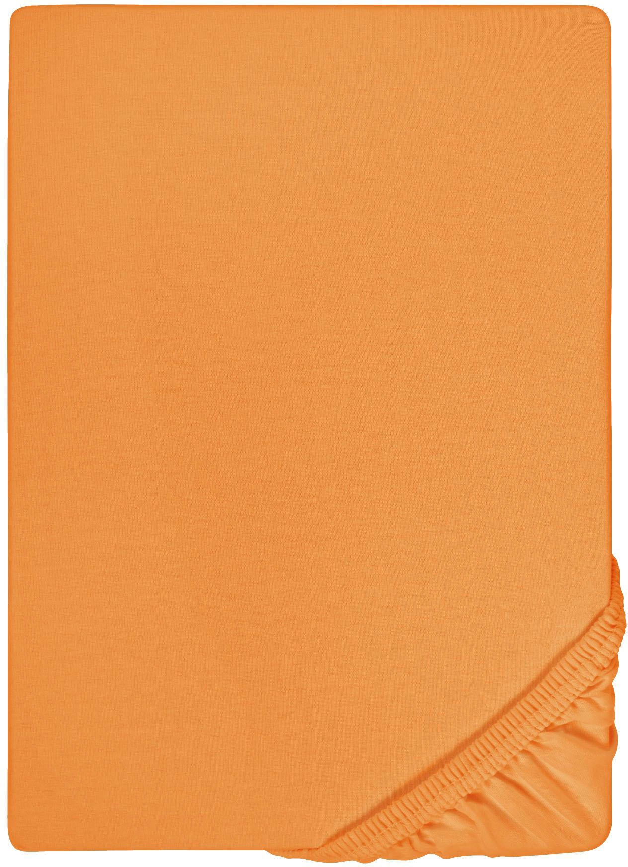 Biberna Spannbettlaken »Marc in Gr. 90x200, 140x200 oder 180x200 cm«, (1 St.), aus Baumwolle, für Matratzen bis 22 cm Höhe, Bettlaken, Spannbetttuch