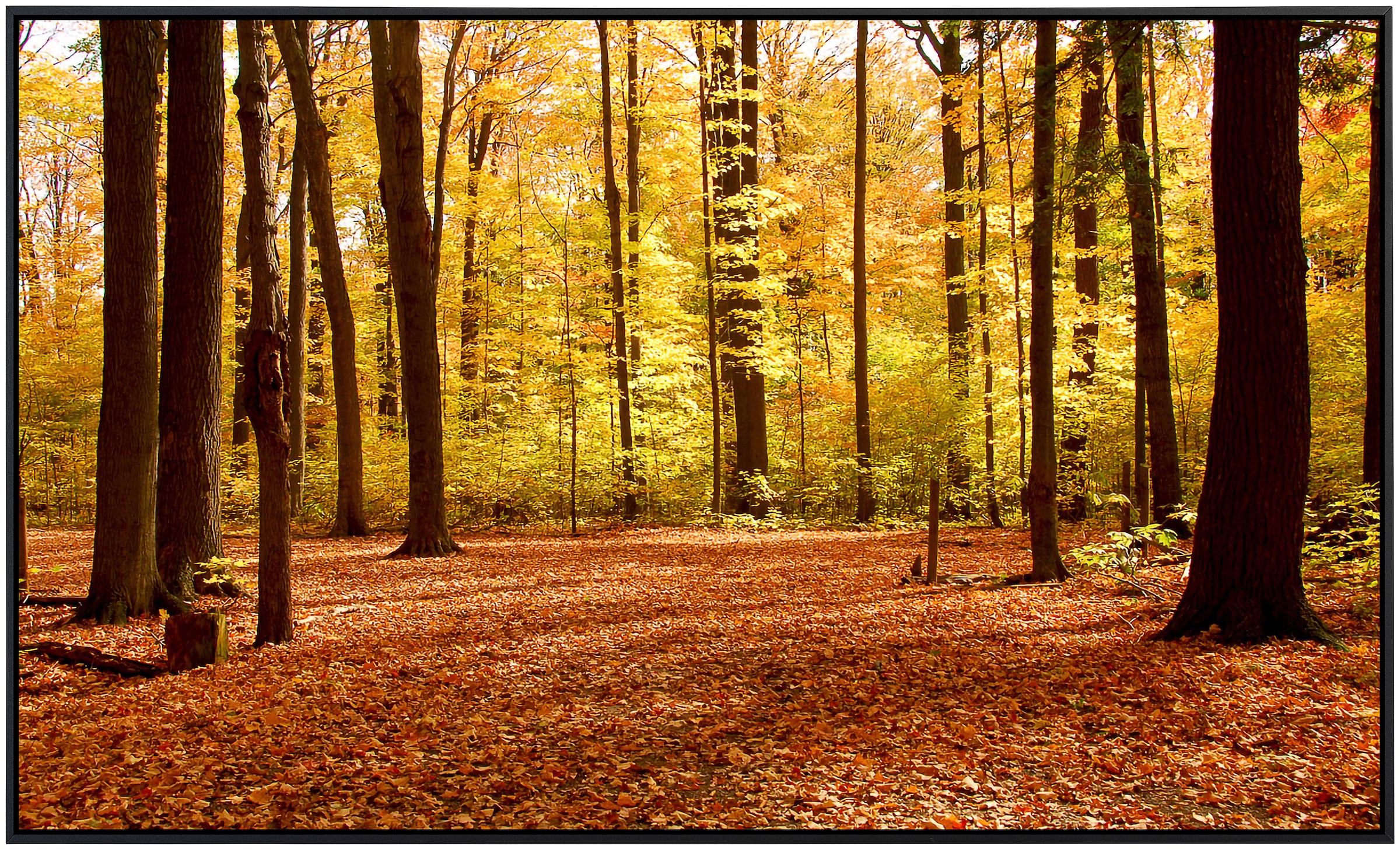 Papermoon Infrarotheizung »Herbstwald«, sehr angenehme Strahlungswärme