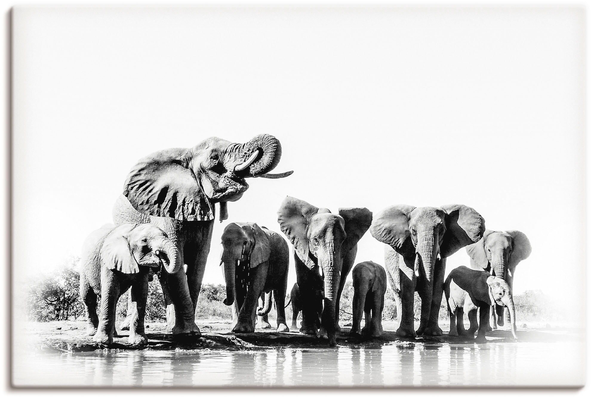 Alubild, BAUR Wandbild Elefanten Wandaufkleber Wasserloch«, Poster »Elefanten oder Artland (1 | St.), Größen am Bilder, versch. kaufen in Leinwandbild, als