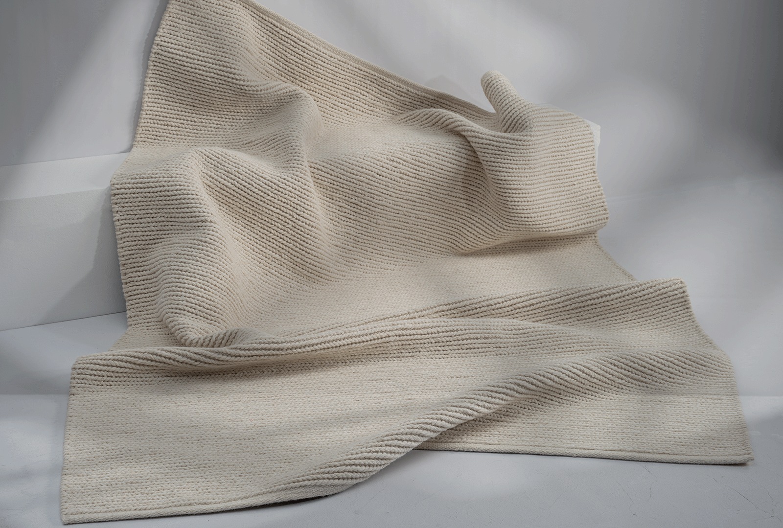 the carpet Teppich »Premium Wool«, rechteckig, Wool Handweb-Teppich Naturfaser Wollteppich