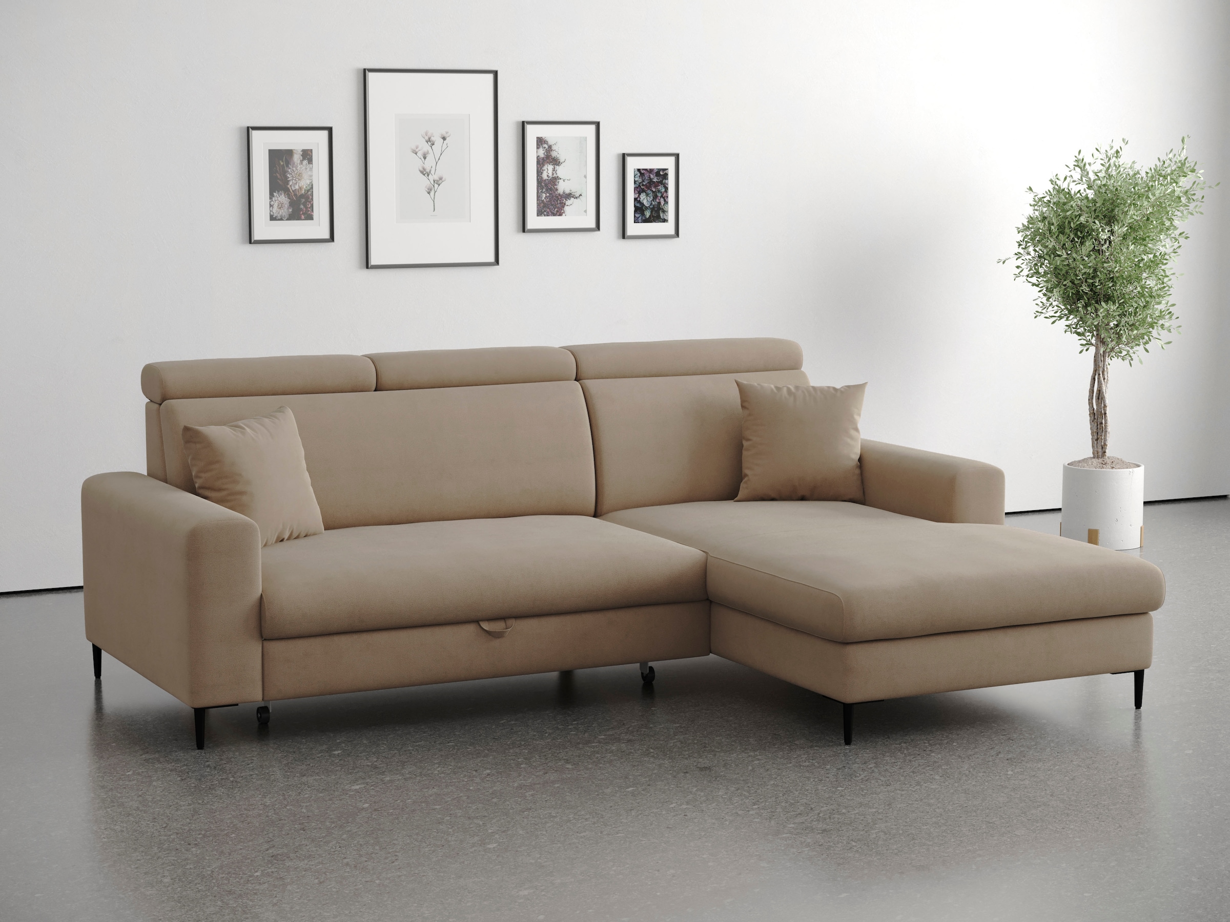 Trends by HG "Nizza, L-Form, B: 250cm" mit Schlaffunktion und Bettkasten