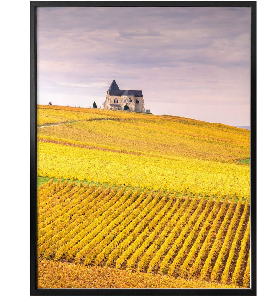 Wall-Art Poster kaufen »Weinfelder Wandposter Wandbild, Champagne«, (1 Poster, Bild, BAUR St.), Landschaften, 