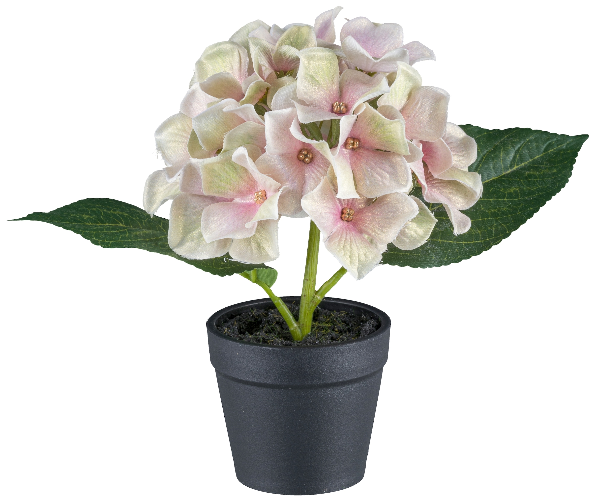 Creativ green Kunstblume »Mini-Hortensie in Pastellfarben«, mit Glitzerschimmer
