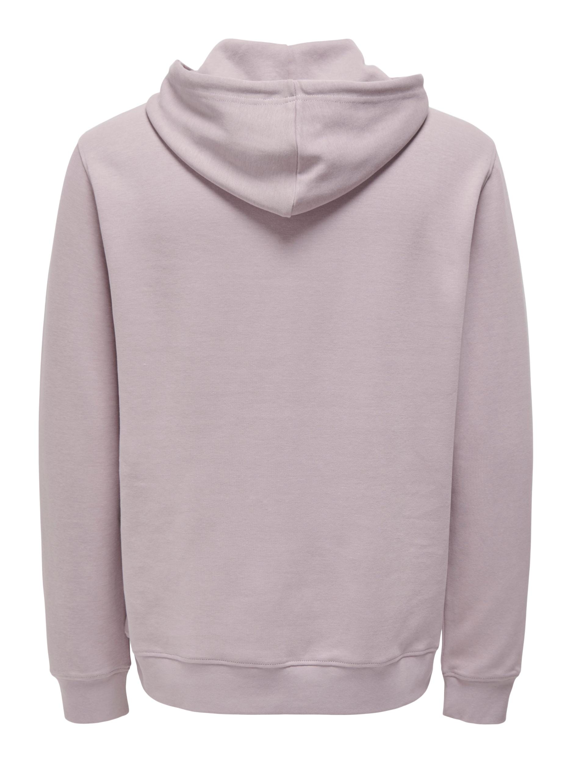 ONLY & SONS Kapuzensweatshirt "ONSLAMER REG INTERLOCK SWEAT HOODIE" günstig online kaufen