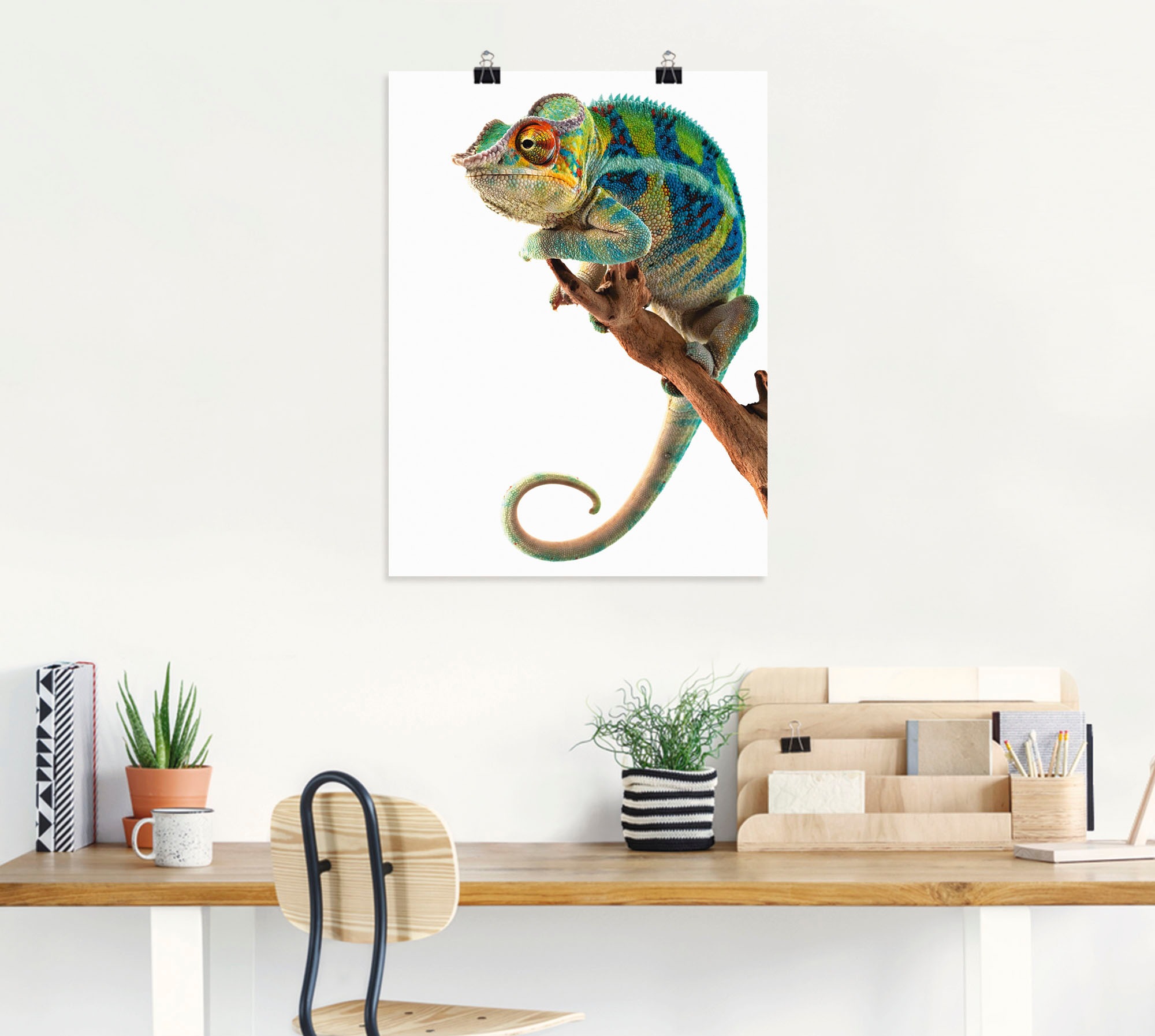 Artland Wandbild »Ambanja Panther Chamäleon«, Reptilien, (1 St.), als Leinwandbild, Poster in verschied. Größen