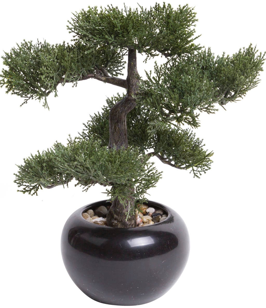 Botanic-Haus Kunstbonsai »Ceder Bonsai«