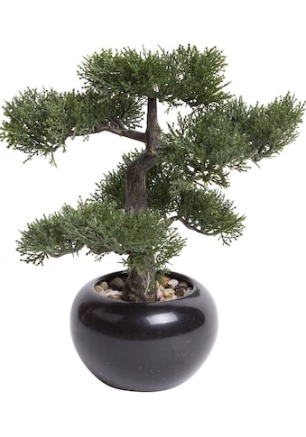 Kunstbonsai »Ceder Bonsai«