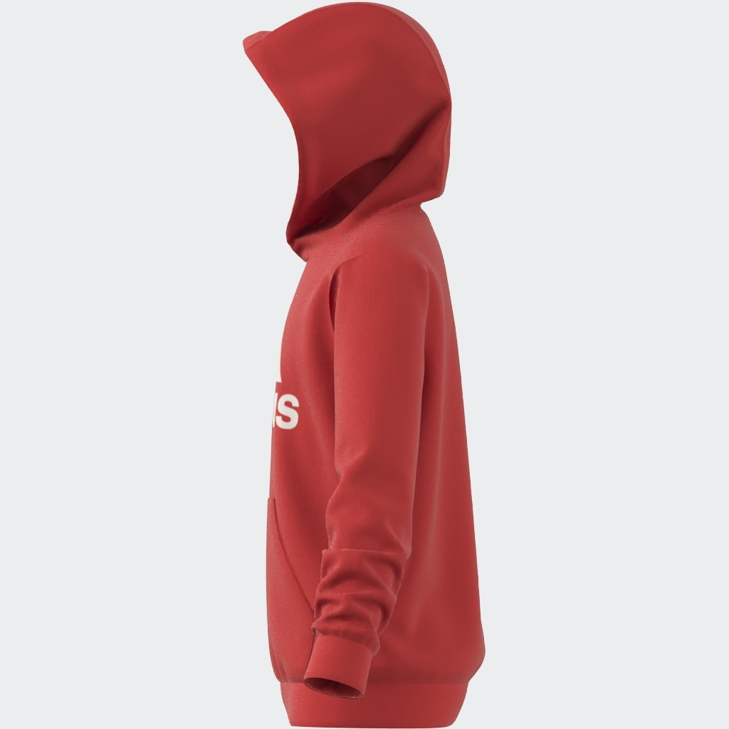 adidas Sportswear Kapuzensweatshirt »BIG LOGO ESSENTIALS COTTON HOODIE«