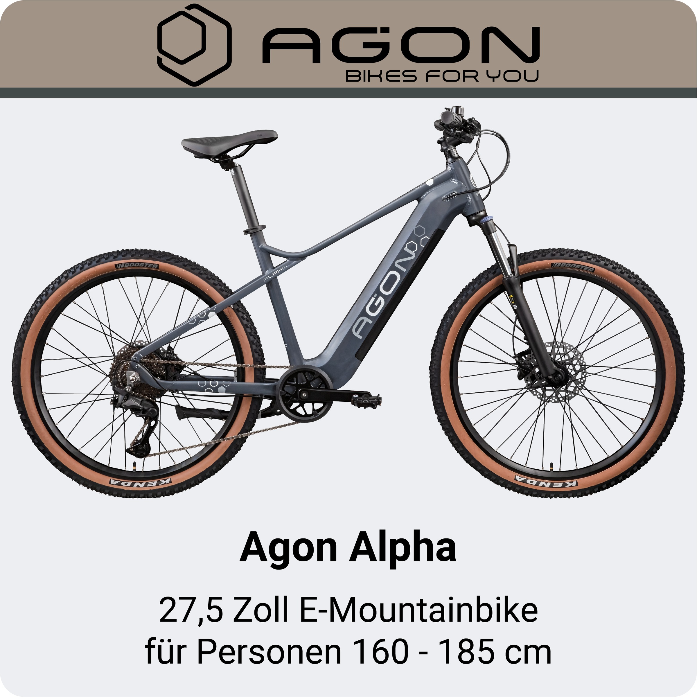 AGON »Alpha« 10 Gang Deore SGS T6000 Schaltwerk Kettenschaltung Heckmotor 250 W Pedelec, Elektrofahrrad für Damen u. Herren, MTB