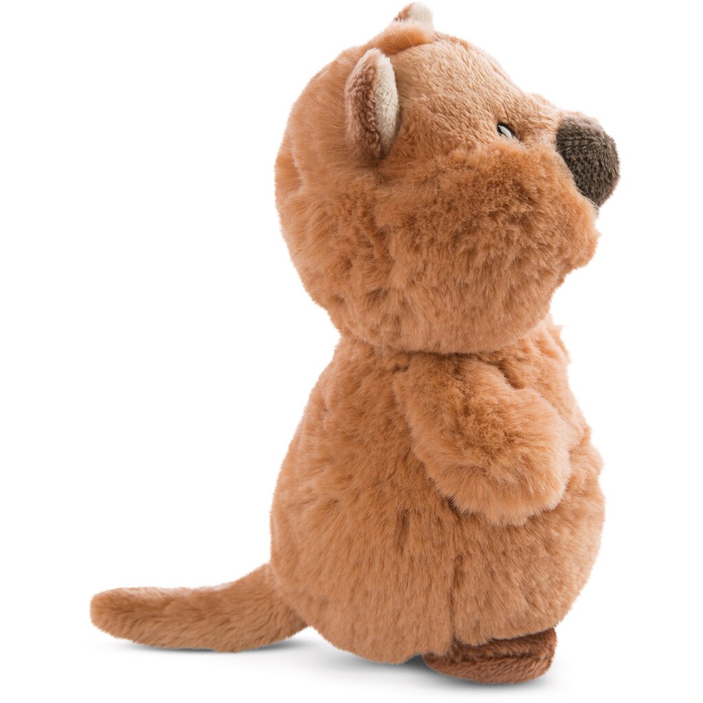 Nici Kuscheltier »Wild Friends GREEN, Kuscheltier Quokka-Mola, 22cm«