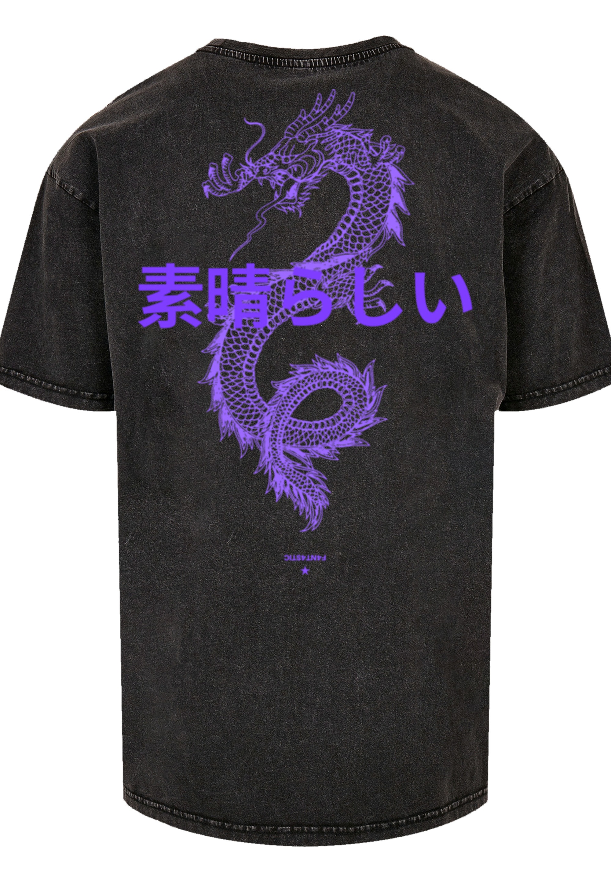 F4NT4STIC T-Shirt »Drache« Print