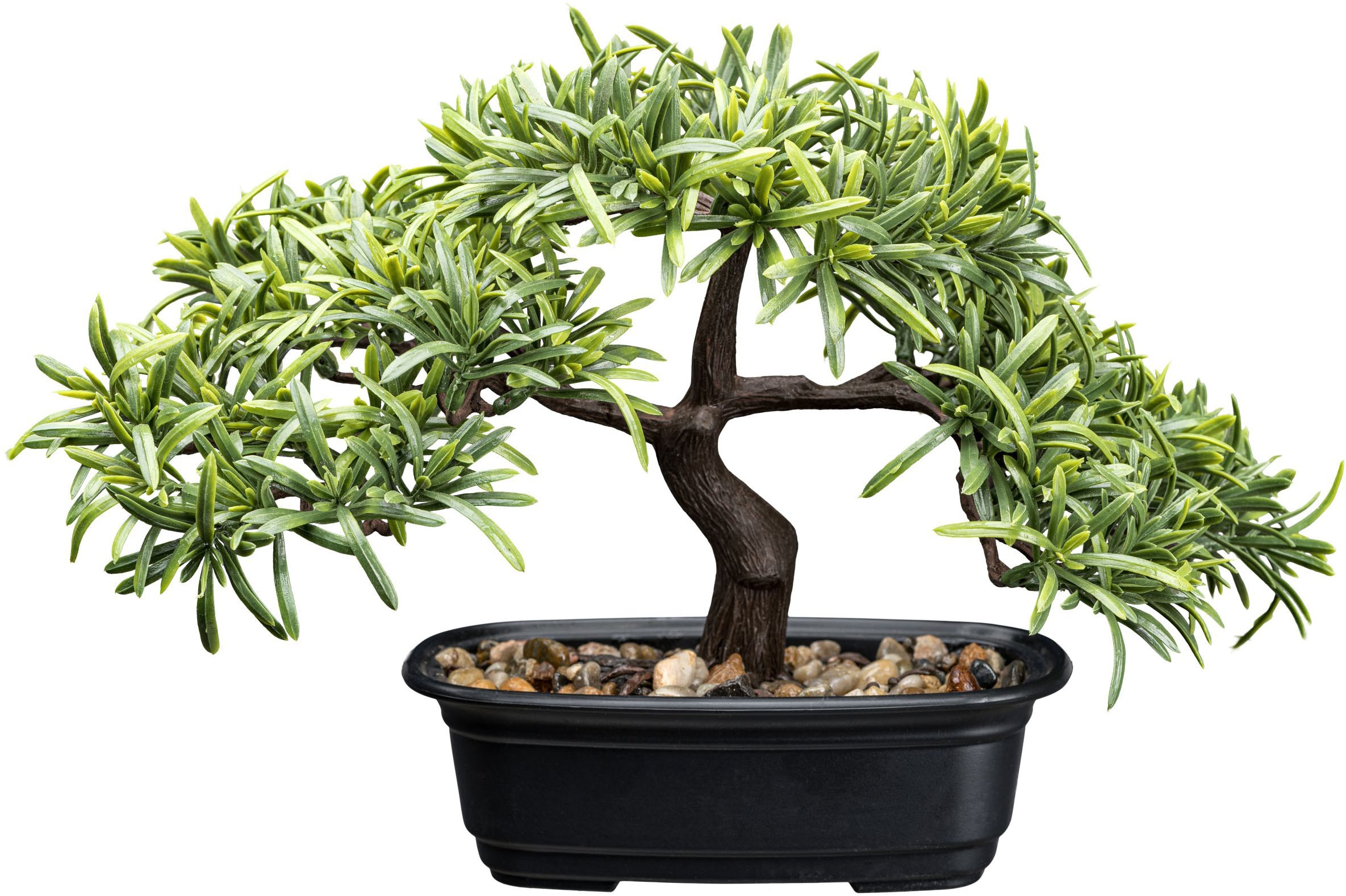 Creativ green Kunstbonsai "Bonsai Steineibe", mit Deko-Kies