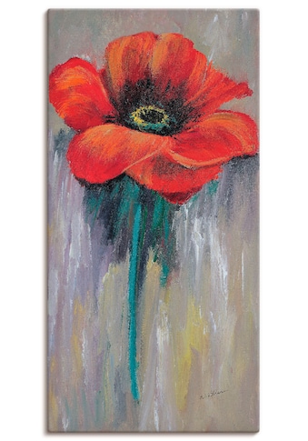 Artland Paveikslas »Roter Mohn II« Blumen (1 S...
