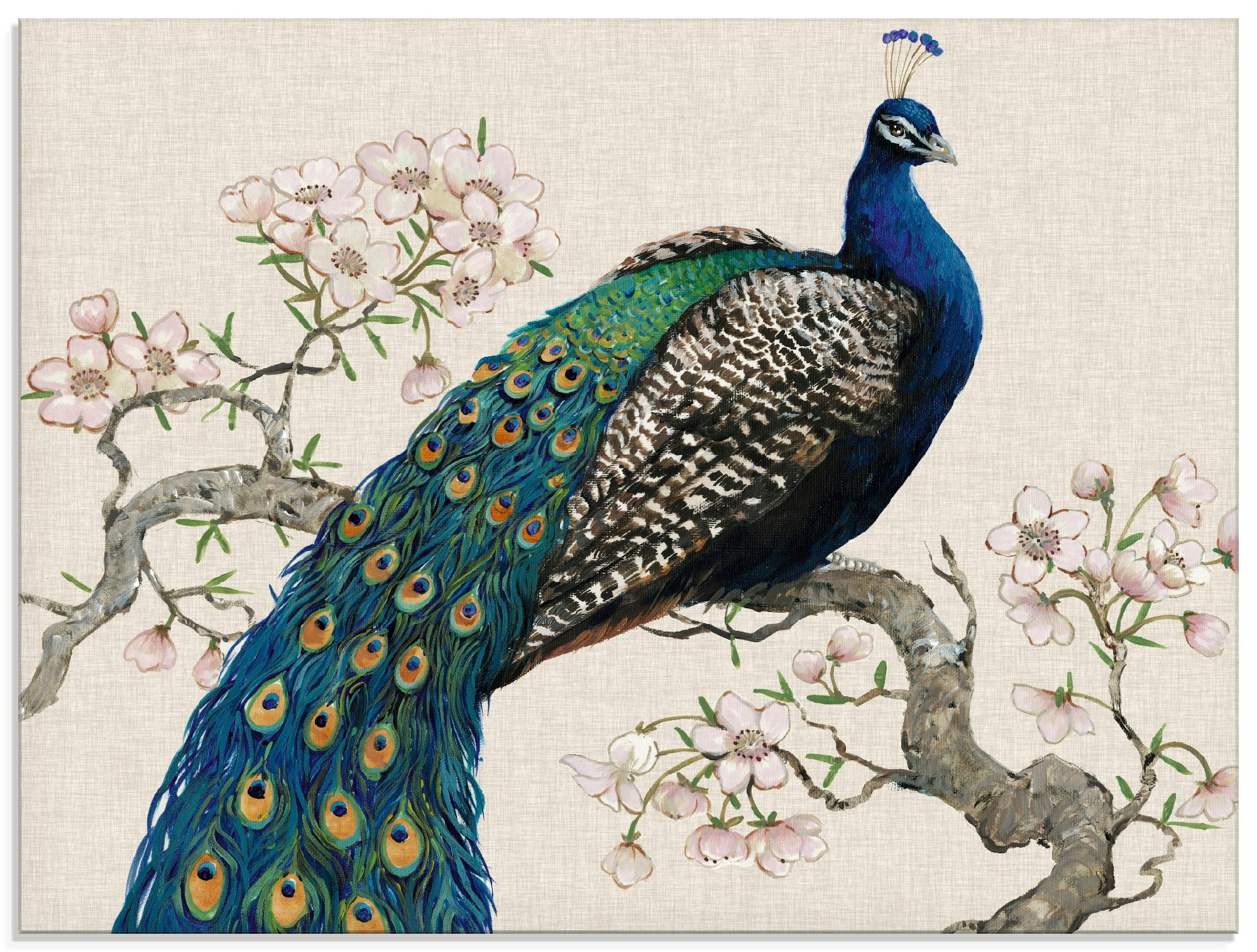 Artland Glasbild "Pfau & Blüten I", Vögel, (1 St.), in verschiedenen Größen