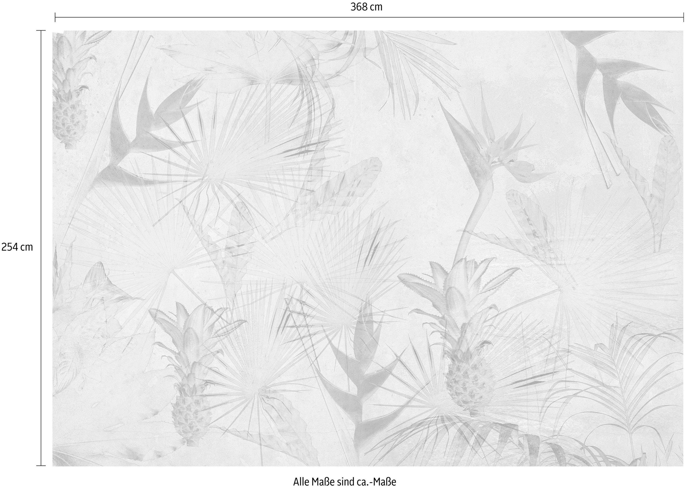 Komar Fototapete »Tropical Concrete - Größe 368 x 254 cm«, bedruckt, Wohnzimmer, Schlafzimmer