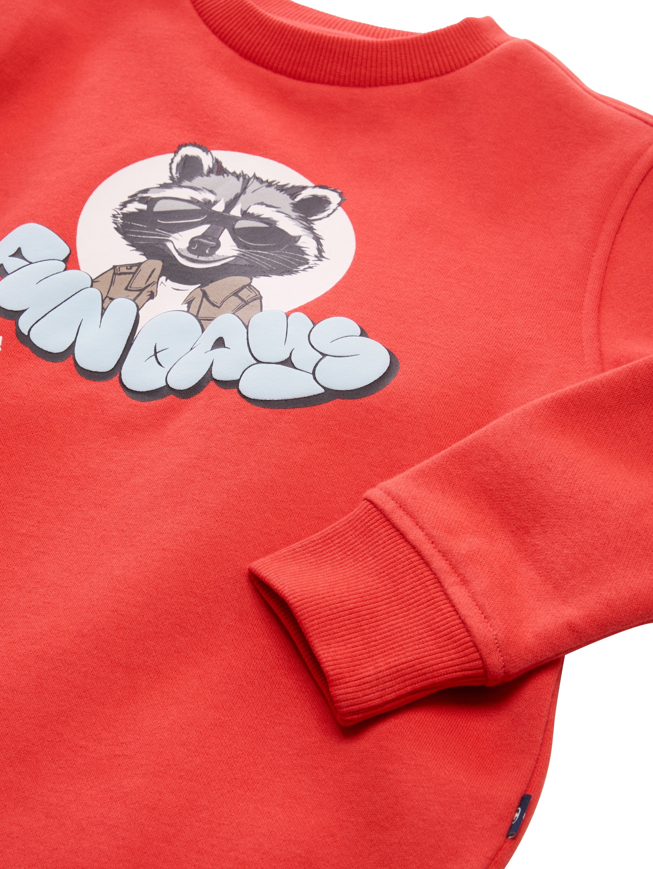 Thumbnail - TOM TAILOR Sweater, mit Print