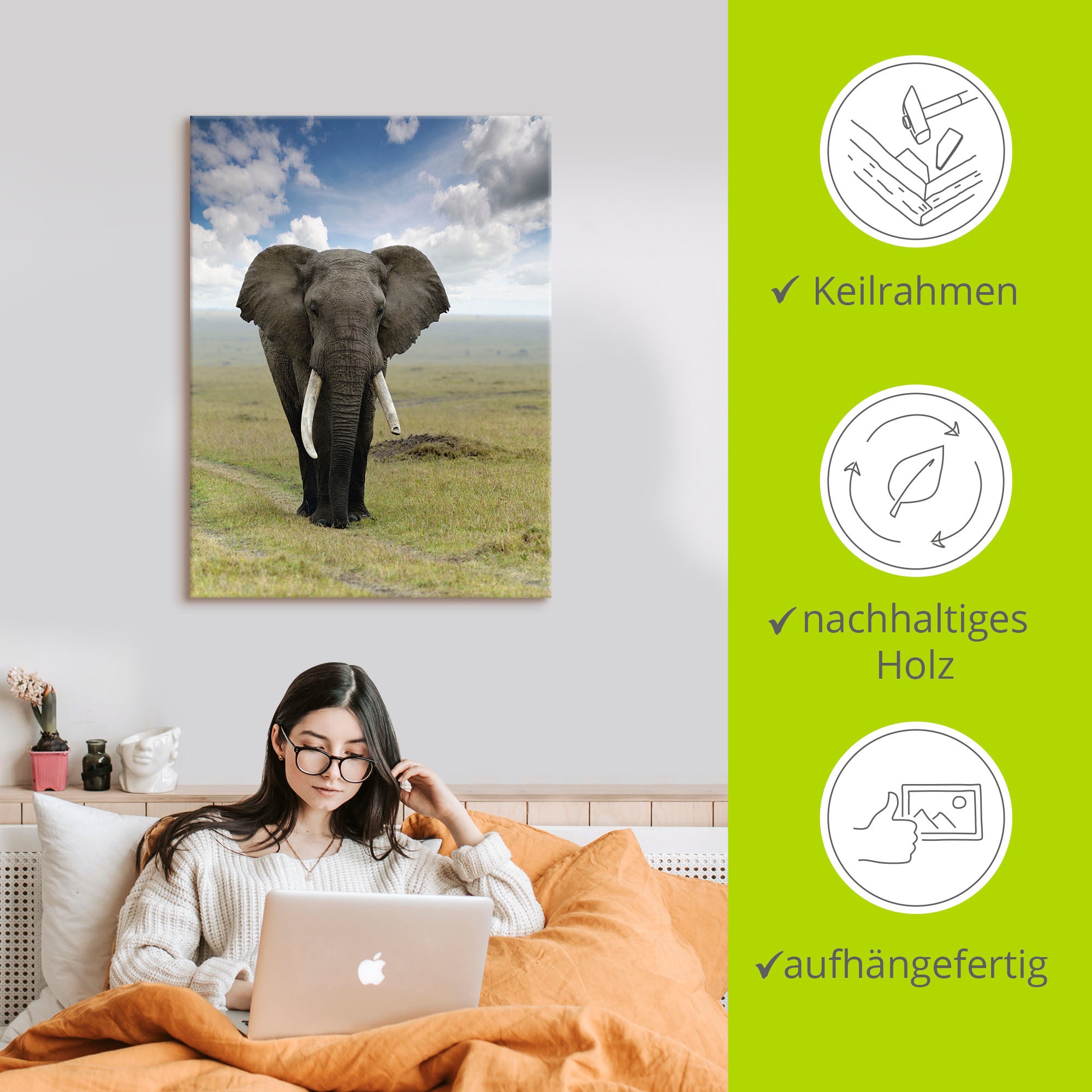 Artland Wandbild »Elefant«, Wildtiere, (1 St.), als Alubild, Outdoorbild, Leinwandbild, Poster in verschied. Größen