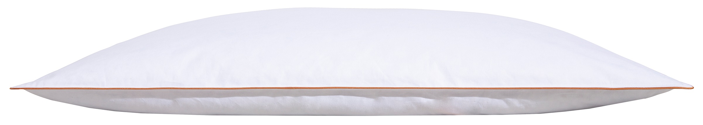 RIBECO Federkissen "Kopfkissen Richard, Kissen mit Daunenanteil, in 40x80 o günstig online kaufen