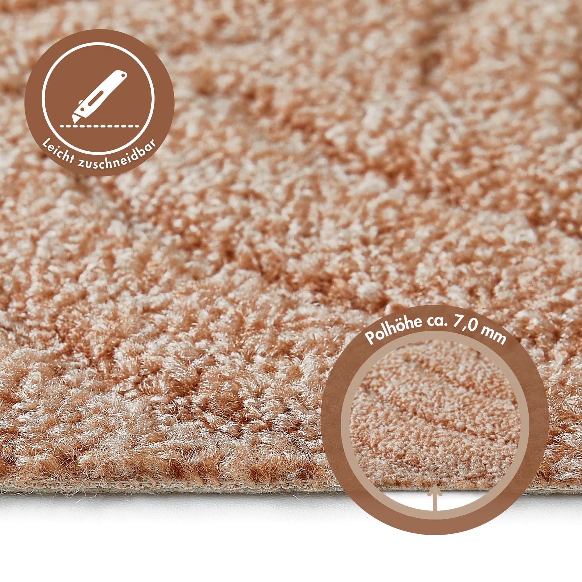 ANDIAMO Amberg Loop Pile Carpet Beige 500x500cm 3