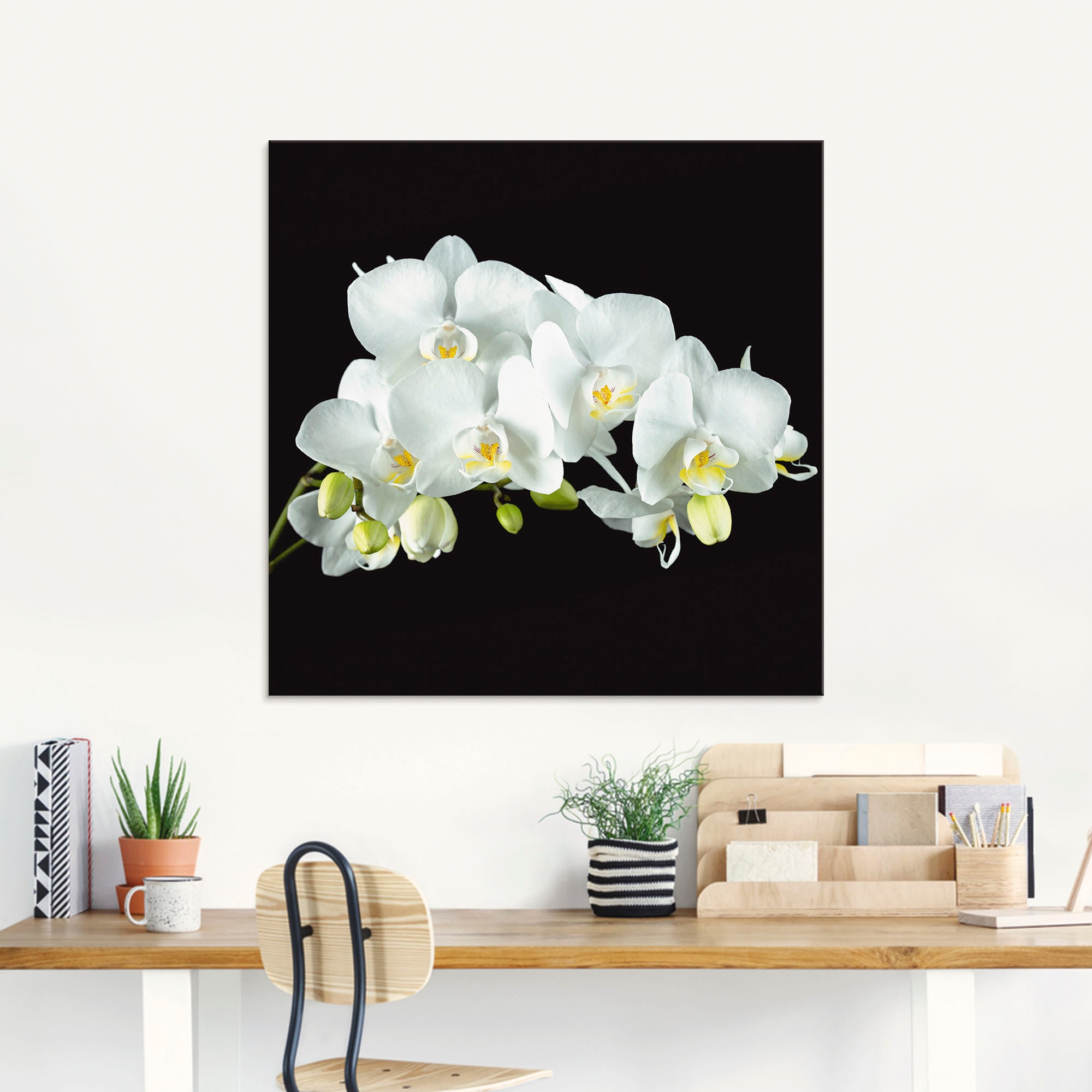 Artland Glasbild »Weiße Orchidee auf schwarzem Hintergrund«, Blumen, (1 St.), in verschiedenen Größen