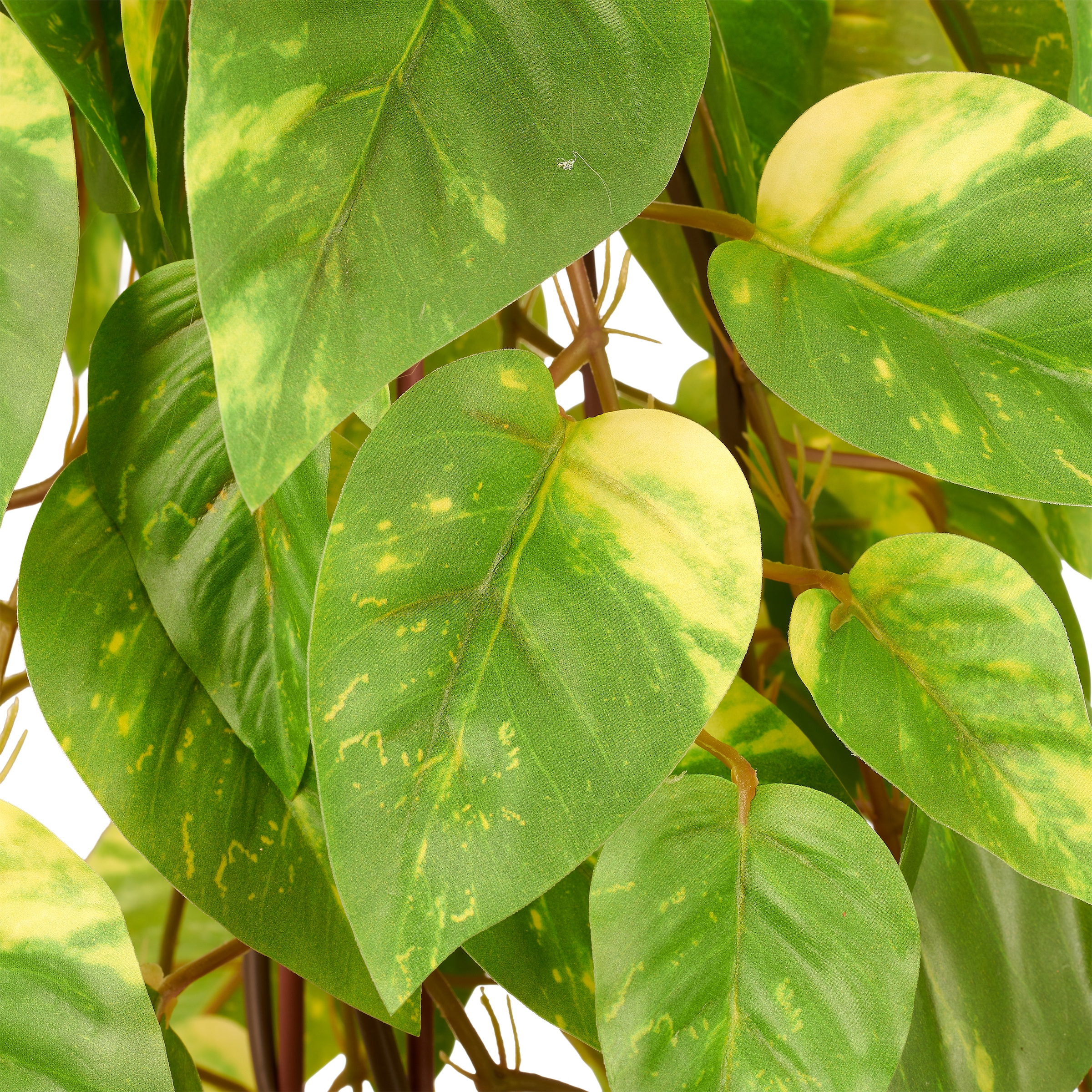 Creativ green Kunstpflanze »Epipremnum« in Pyramidenform