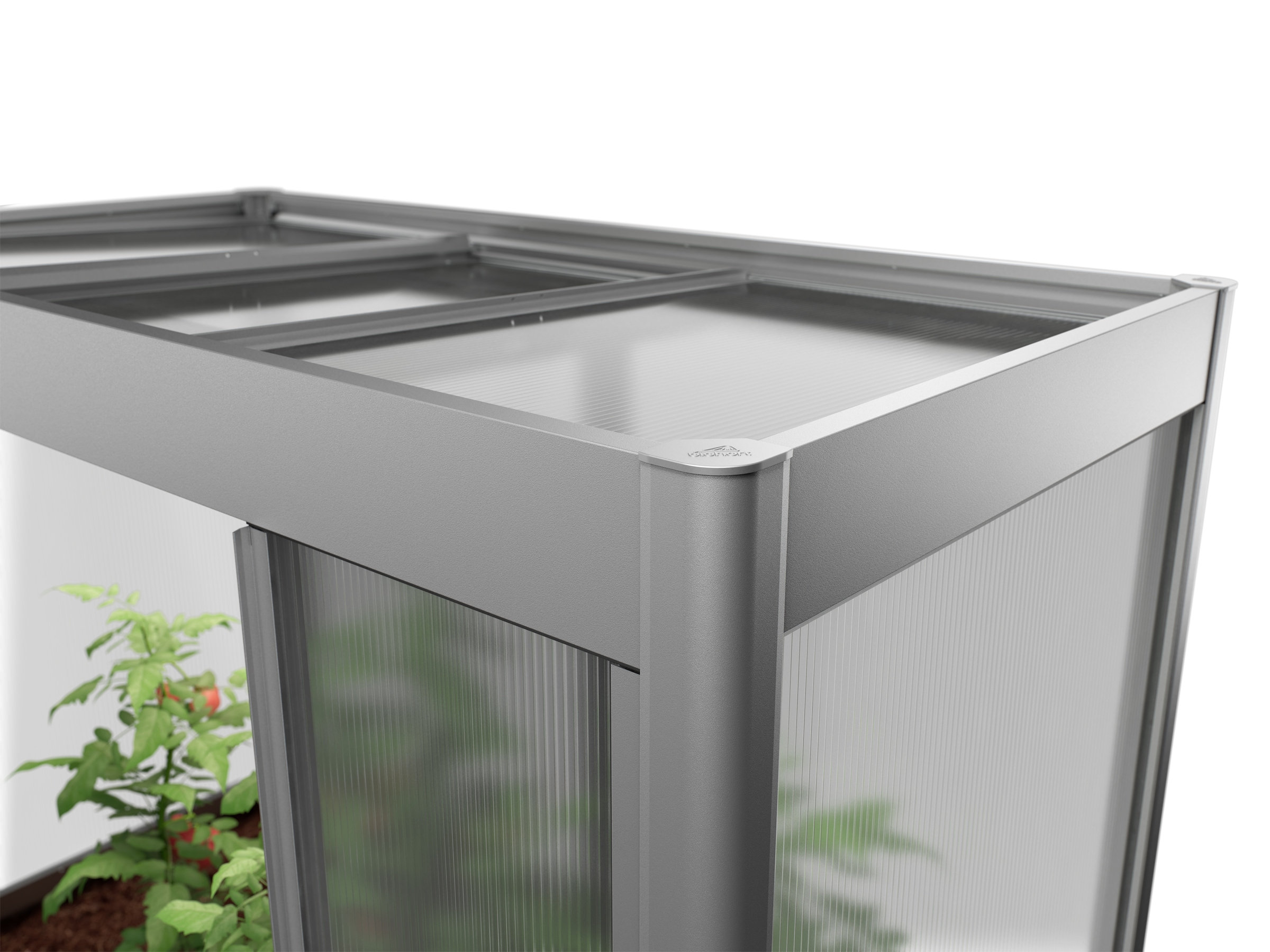 Biohort Gewächshaus »Florentina Gr.2x1 midi, verschieden Farben« kompaktes Gewächshaus für hochwachsende Pflanzen